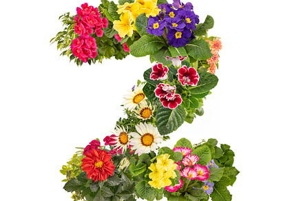 Number 2 made of flowers, a Photo by Grafvision photography