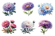 Aster Flower Watercolor Clipart, an Illustration by SinaCreation (Thumbnail 3 of 5)
