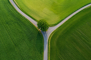 Green fields with a road junction, a Photo by Beautiful things