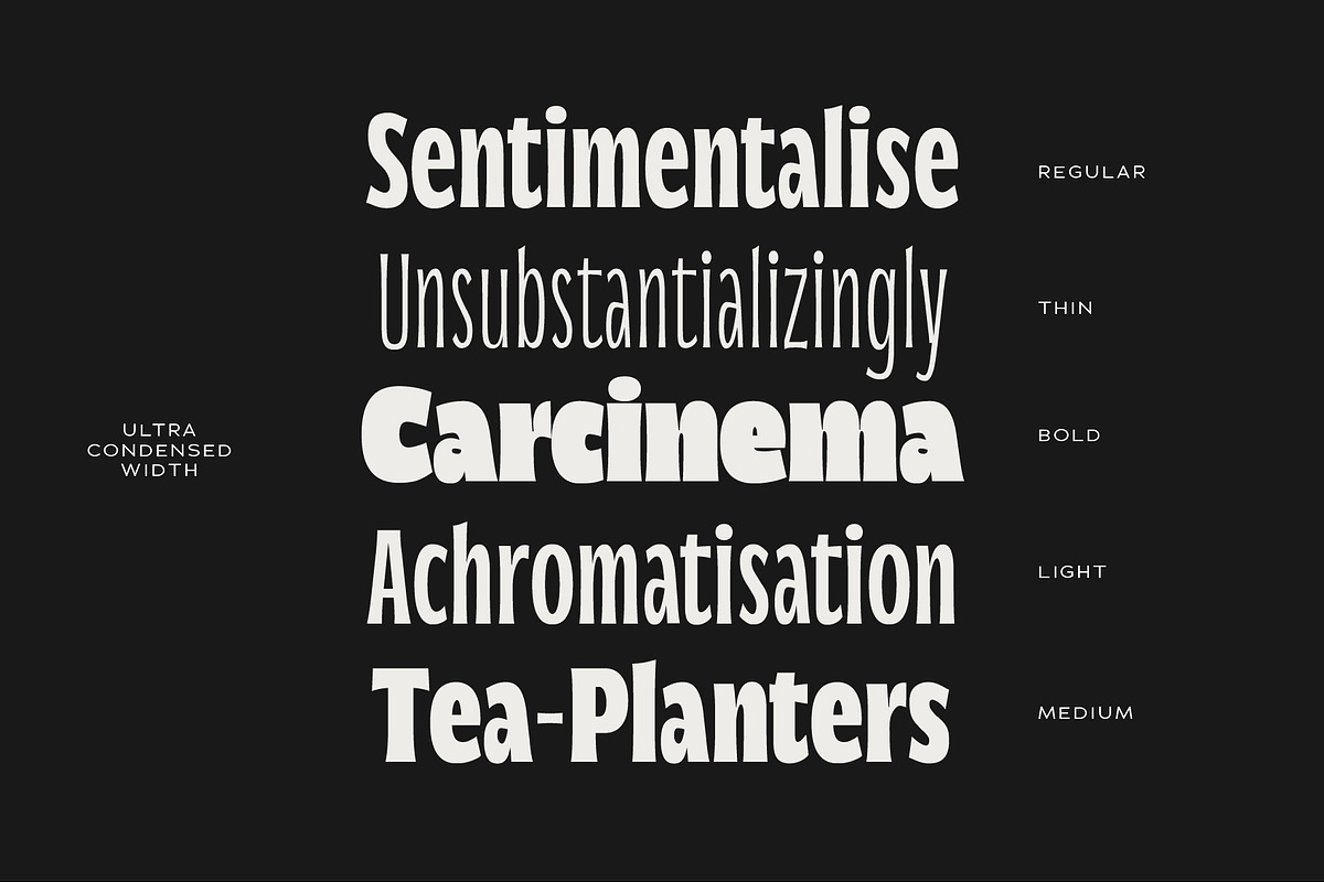 Norsy - Variable Display, a Sans Serif Font by Adam Fathony (Photo 15 of 19)