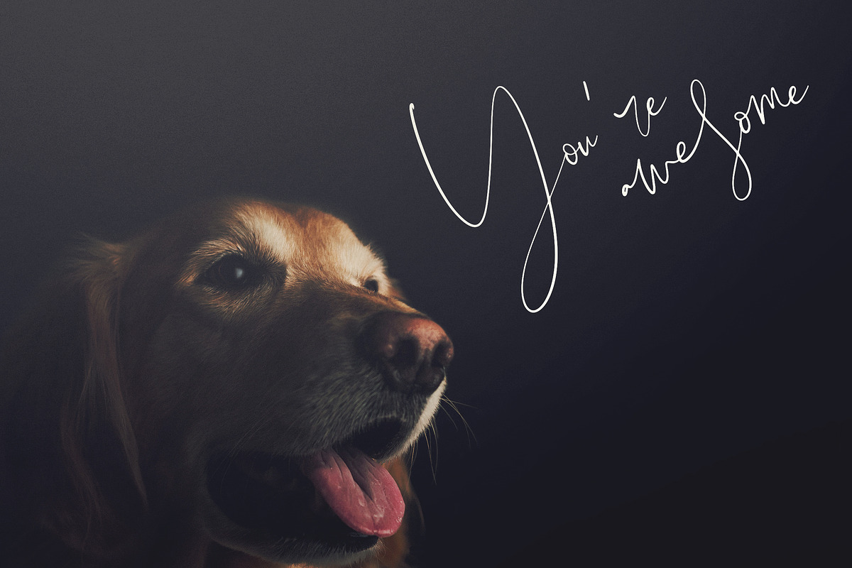 Orenda - Script font preview 6