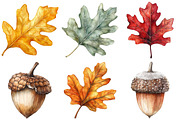 Watercolor Acorns & Oak Leaves PNG, an Illustration by Craft Nest (Thumbnail 2 of 6)
