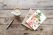 Vintage Roses Collection, a Decorative Illustration by ReachDreams (Thumbnail 4 of 7)
