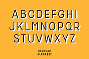 Zippy Gothic - A Huge Layered Family, a Sans Serif Font by Polytype (Thumbnail 10 of 13)