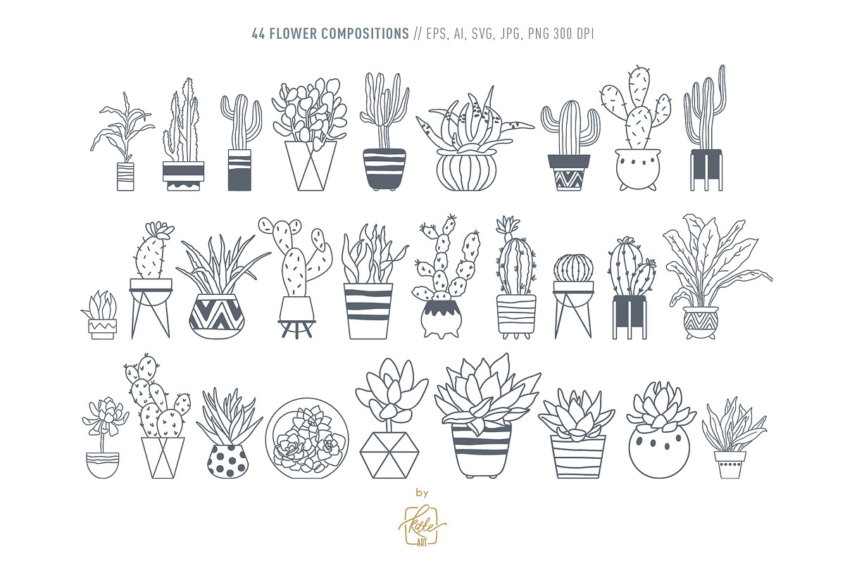 HOME PLANTS AND CACTI LINE ART, an Object Illustration by Kate Art (Photo 4 of 10)