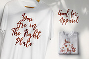 I am Cool - Brush Script Font, a Script Font by StringLabs (Thumbnail 5 of 7)