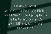 Eiden || Modern Serif Font, a Serif Font by Idea Studio (Thumbnail 10 of 11)