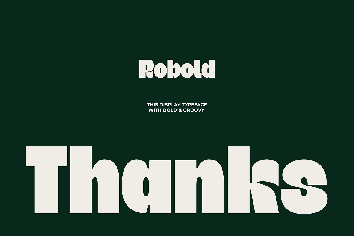 Robold - Bold Display Font, a Sans Serif Font by limitype (Photo 12 of 12)