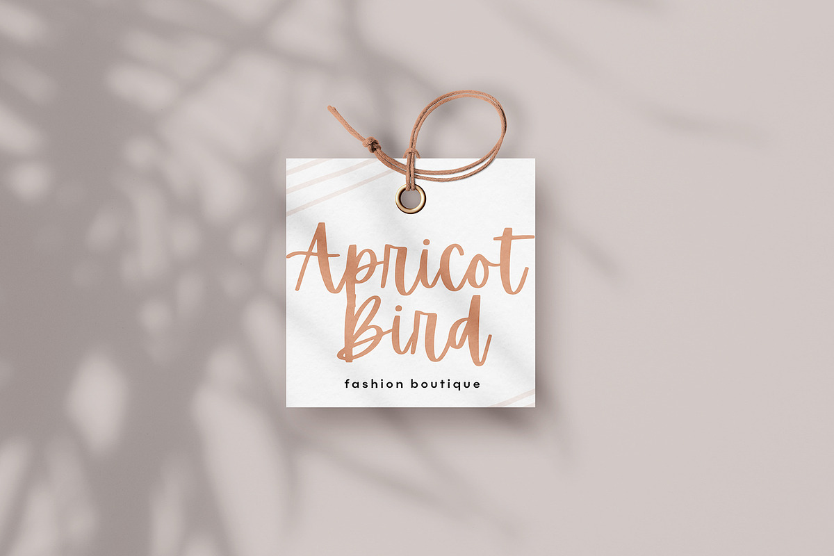 Apricots | A Handwritten Script Font, a Script Font by KA Designs (Photo 5 of 12)