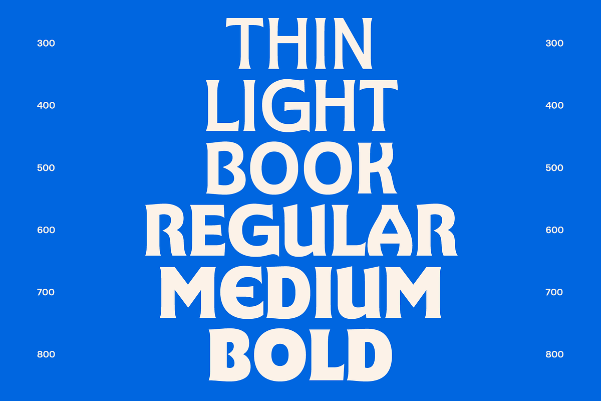 SG Chaps Serif Gothic, a Serif Font by Studio Gulden (Photo 4 of 12)