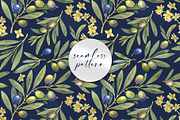 Olive Branches Watercolor Clipart, a Food Illustration by YarovaArt (Thumbnail 15 of 28)