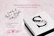 Magnolia & Eucalyptus Alphabet, an Illustration by Maggie Stilwell Design (Thumbnail 1 of 5)