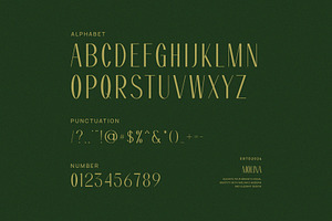 Molina Modern Sans Serif Font