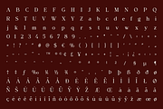 Vioneta Sloane – Serif Font, a Serif Font by roomspace creative lab (Thumbnail 14 of 14)