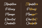 Standard Vertical Modern Brush Font, a Script Font by stylishtype.co (Thumbnail 4 of 20)