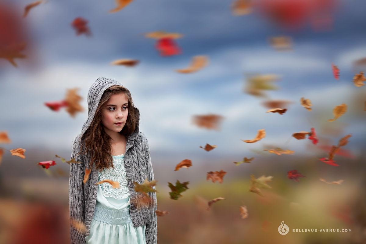 Leaf & Branch Overlays (Real) preview 3