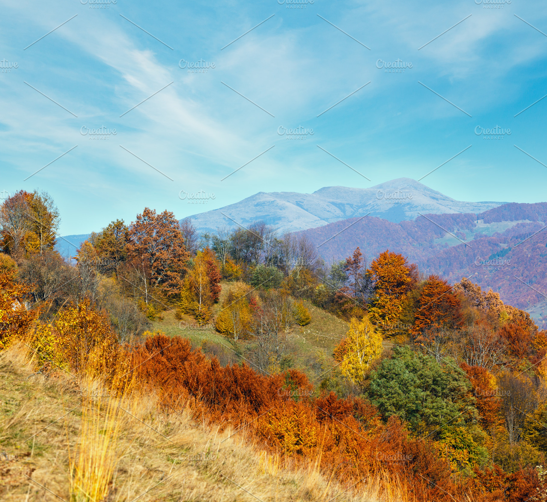 Autumn Carpathian mountain, Ukraine, a Nature Photo by YuriyB