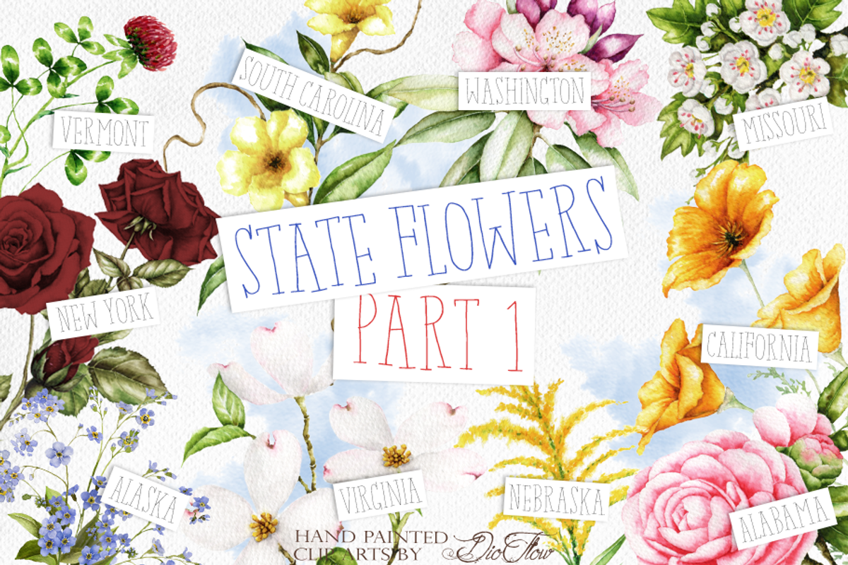 US State Flowers Part 1 Illustration, a Decorative Illustration by DioFlow (Photo 1 of 4)