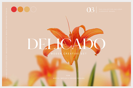#3 Delicado. Branding & social media