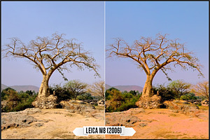 Leica Colors & Sensor Luminance