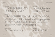 Hegina Ligature Serif Font, a Serif Font by Graphicxell (Thumbnail 8 of 8)