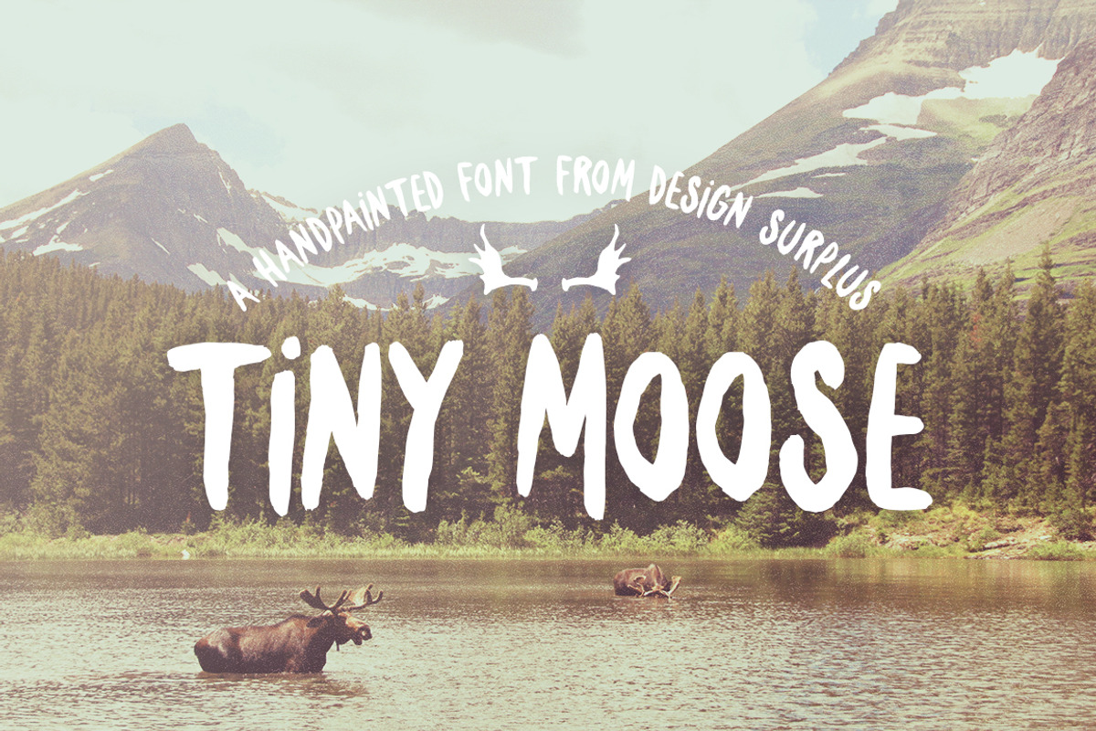 Brush Font Bundle (50% OFF) preview 4