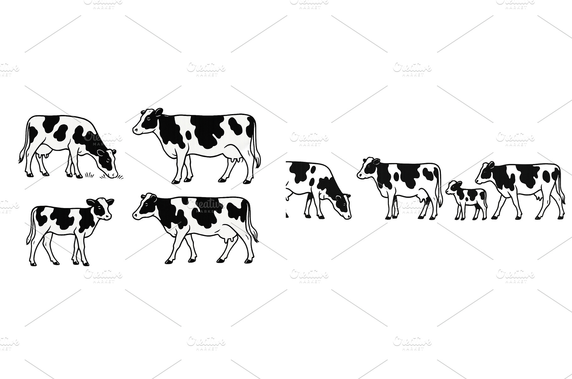 Black and white cows grazing in a, a Nature Photo by ZinetroN