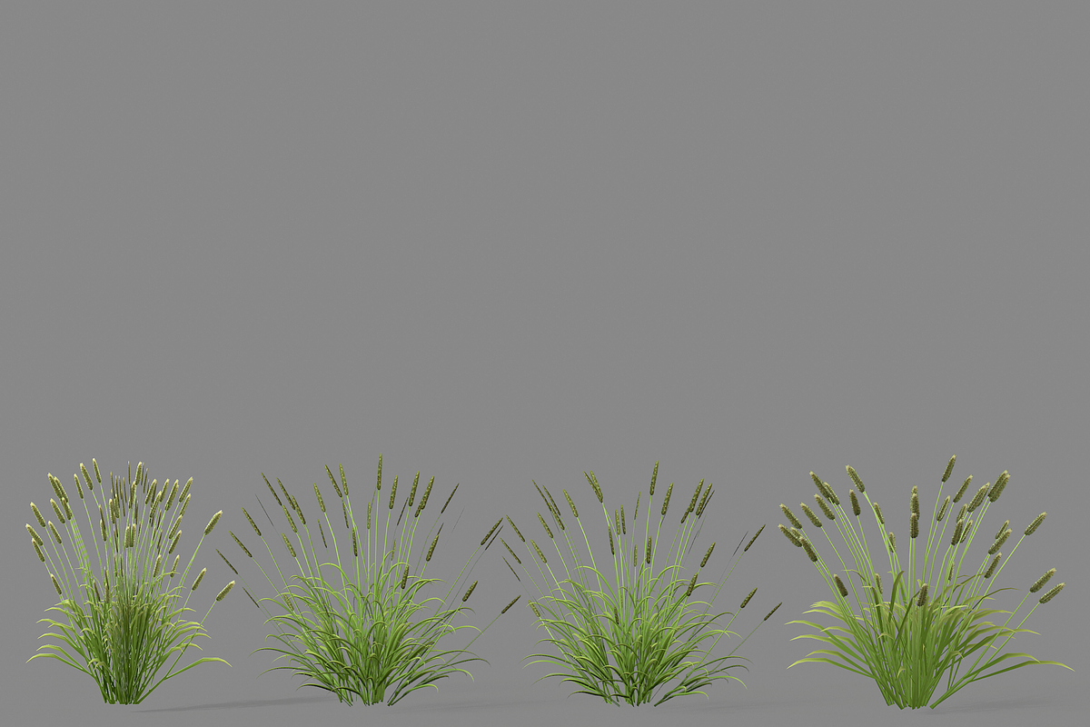Shrub 2, an Environmental 3D Model by AndrewWhite (Photo 6 of 14)