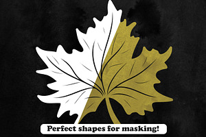 Leaves Photoshop Stamp Brushes