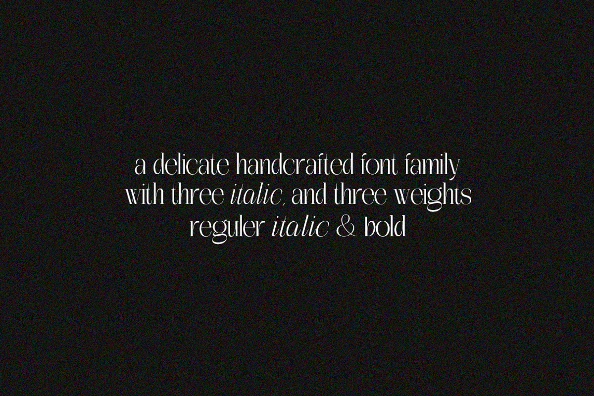 The Perfectly Migthem (11 Font), a Serif Font by IM Studio (Photo 9 of 9)