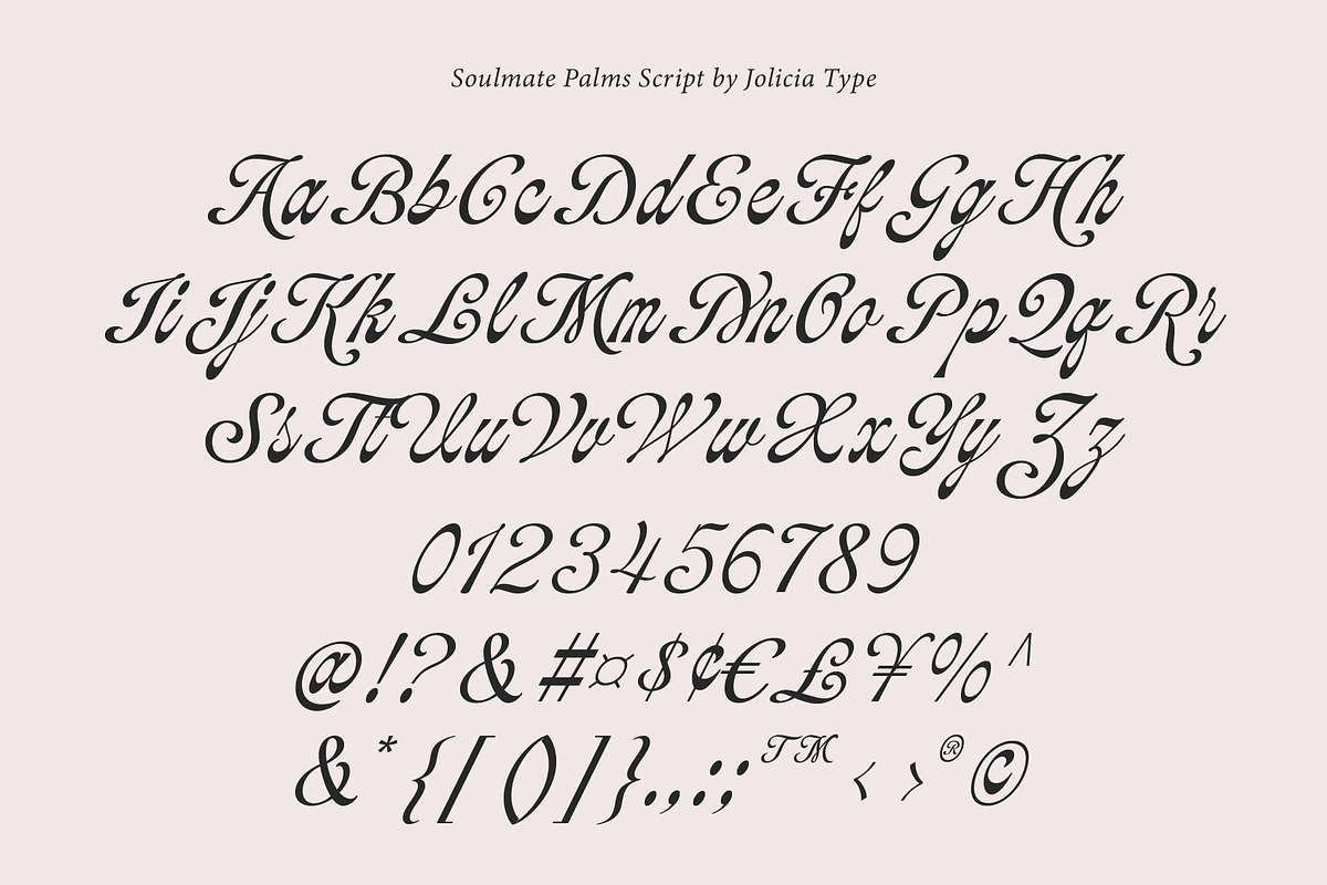 Soulmate Palms | Vintage Script, a Script Font by Jolicia Type (Photo 10 of 12)