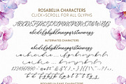Rosabelia - Script & Sans Serif, a Script Font by Solidtype (Thumbnail 10 of 11)