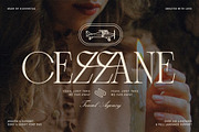 Bespoke Display - Serif & Script Duo, a Serif Font by SilverStag Type Foundry (Thumbnail 2 of 36)