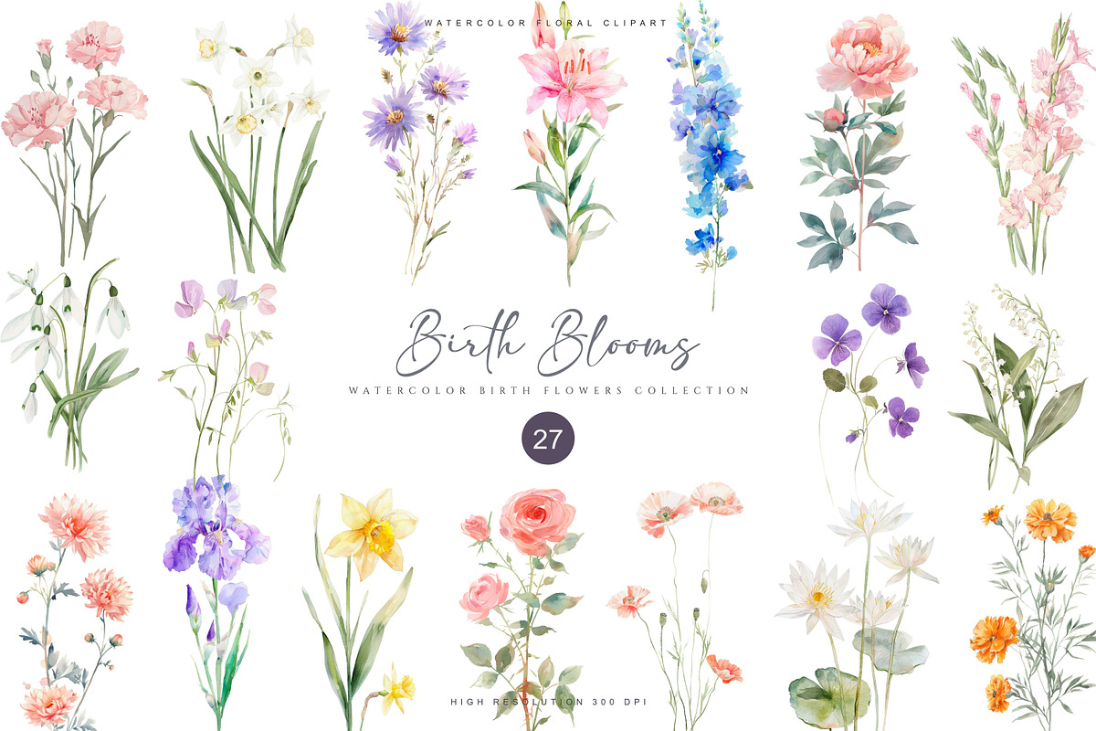 watercolor birth flowers collection, a Decorative Illustration by Patishop Art (Photo 1 of 9)