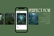 40 Eerie Forest Stock Photos, a Nature Photo by Incomelion (Thumbnail 2 of 13)