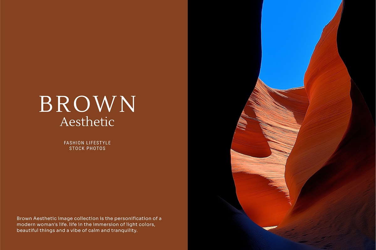 Brown Aesthetic - 150 Stock Photo, a Beauty & Fashion Photo by Digital Blood (Photo 9 of 12)