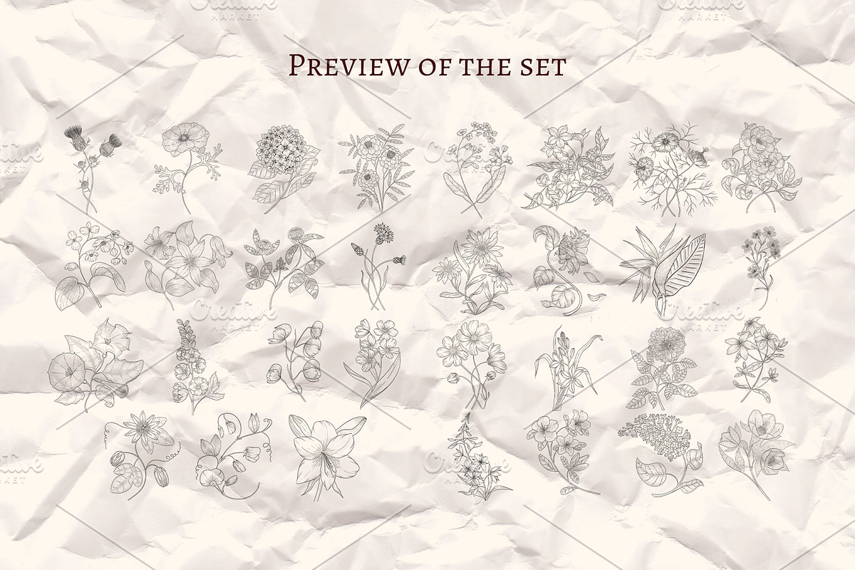 Floral Outline Illustrations Set, a Decorative Illustration by Milla_Zelenyuk_art (Photo 3 of 3)