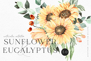 Sunflower And Eucalyptus