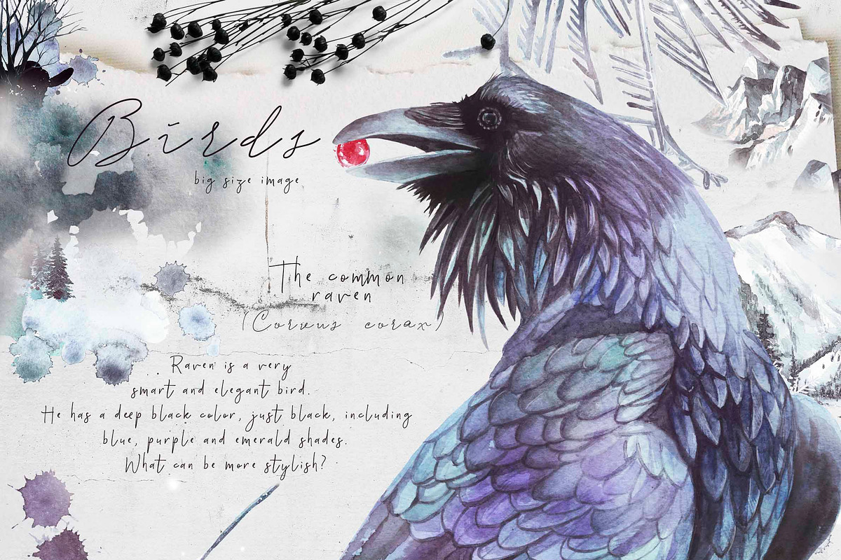 Winter fall bundle. all in 1, an Animal Illustration by Alisa Mikibith Art (Photo 27 of 30)