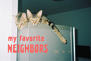 Late Neighbor Condensed Bold Sans, a Sans Serif Font by Struvictory.art (Thumbnail 7 of 9)