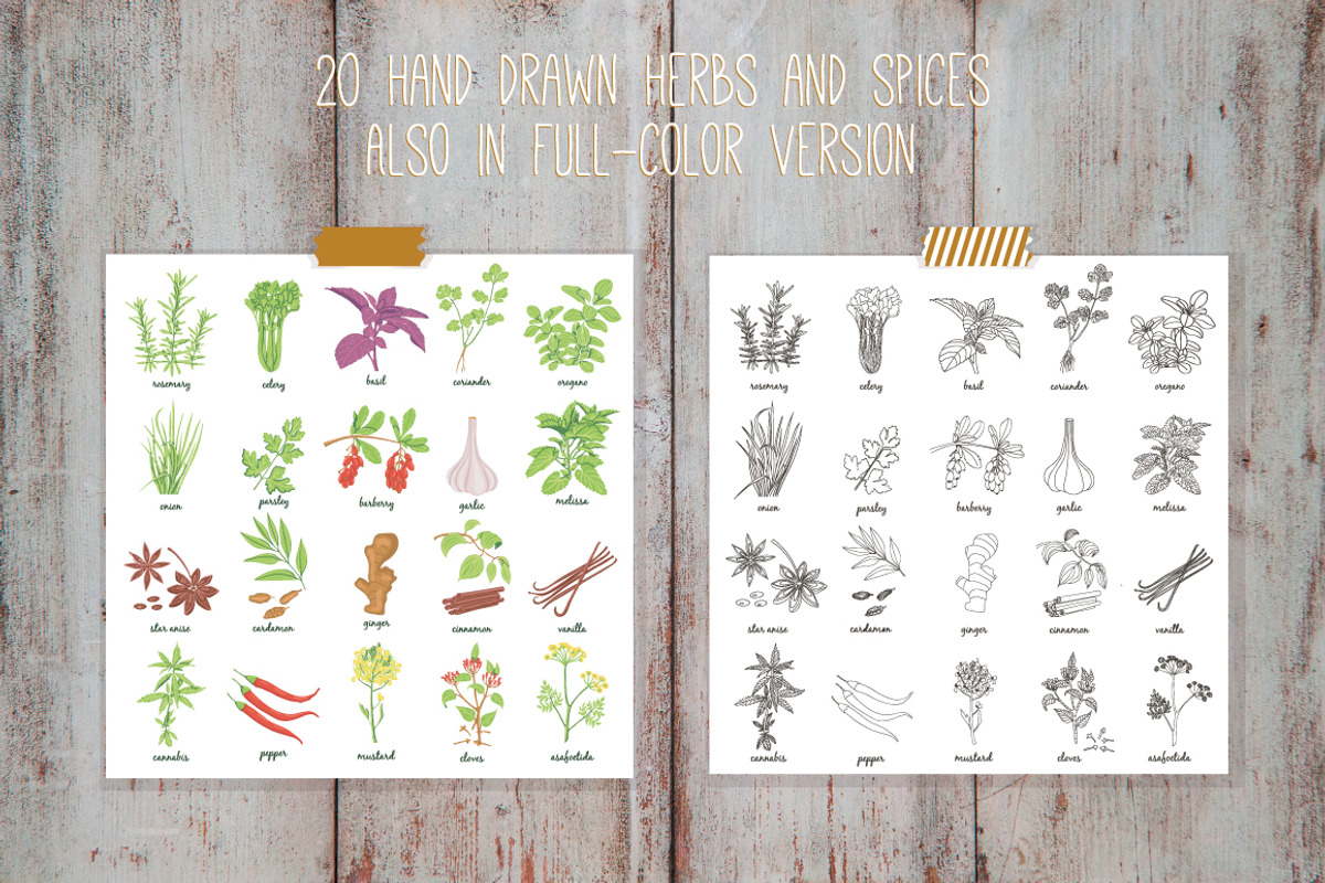 Herbs and spices collection, a Graphic by Tatti Graphic Studio (Photo 2 of 3)