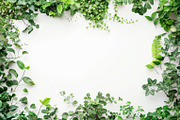 99 Frames of green leaves, a Nature Photo by Handmadefont (Thumbnail 35 of 100)