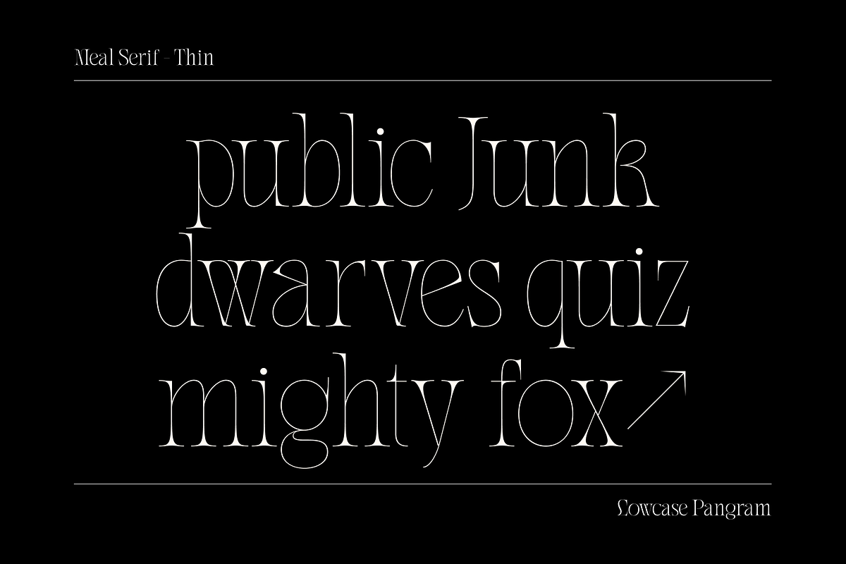 Meal - Serif Display Family, a Serif Font by Holyline Design (Photo 13 of 15)