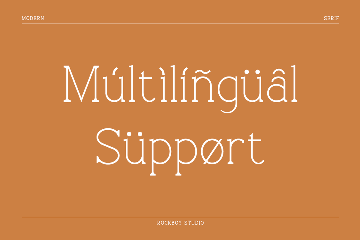 Blissful - Modern Stylish, a Serif Font by RockboyStd (Photo 9 of 12)