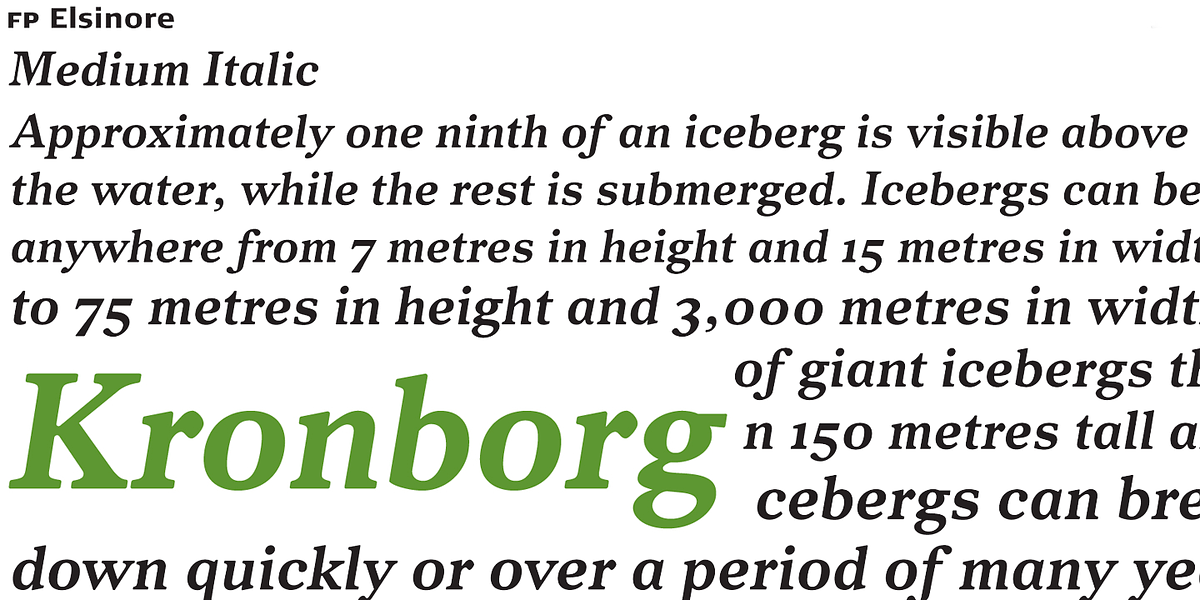 FP Elsinore, a Serif Font by Fontpartners (Photo 2 of 2)