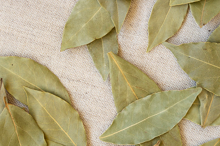 Raw Bay Leaves on cloth, overhead view. Flat lay, top view, from, a Food & Drink Photo by LiudmylaChuhunova