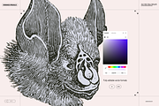 Halloween Special! Bats of the World, an Animal Illustration by Nomad Visuals (Thumbnail 12 of 17)