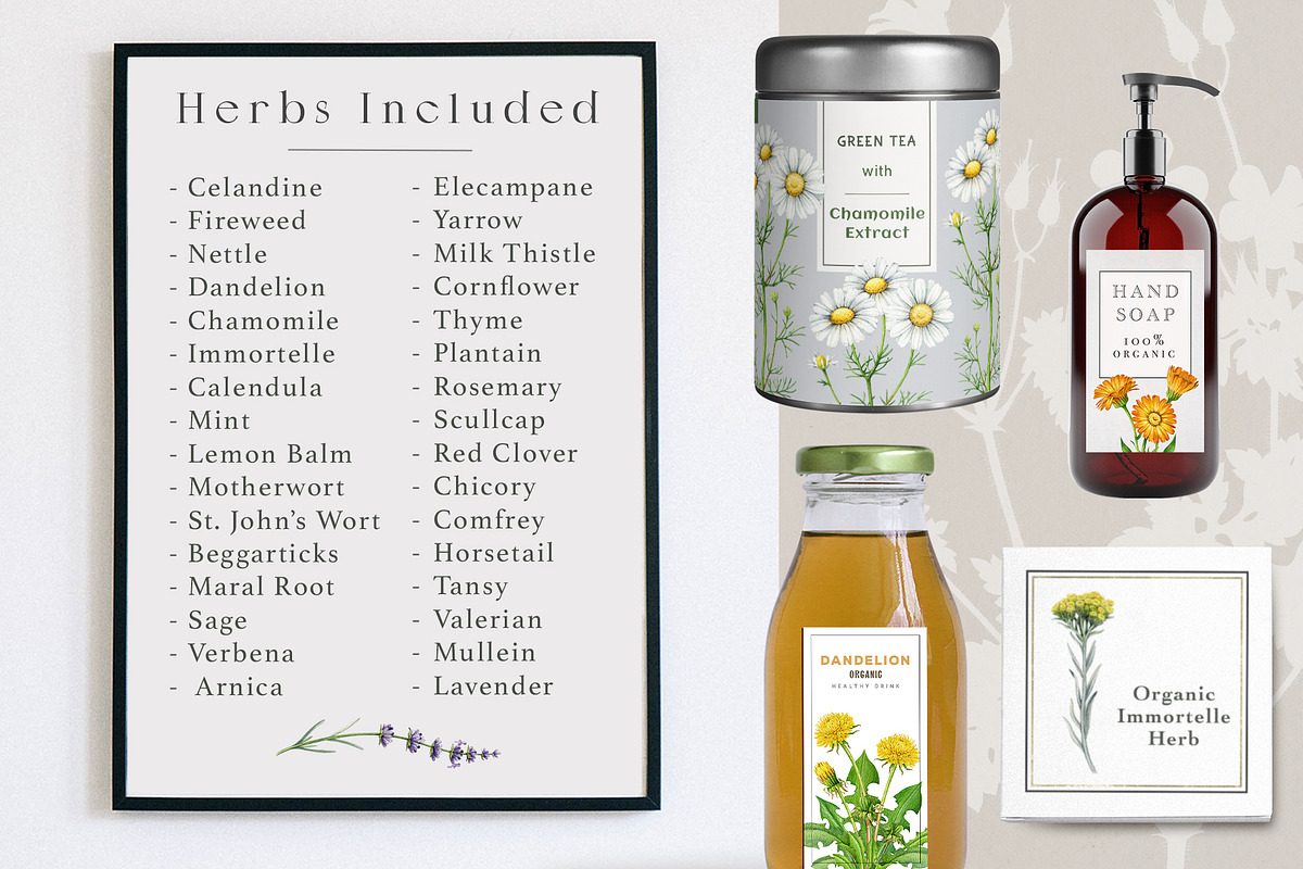 Herbal Apothecary Brand Kit, a Healthcare Illustration by AnitaPol (Photo 6 of 18)