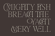 Doltcher Display Serif Typeface, a Serif Font by Designsation (Thumbnail 3 of 10)