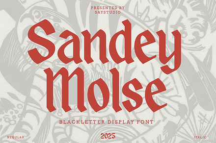 Sandey Molse - Blackletter Display, a Blackletter Font by Say Studio